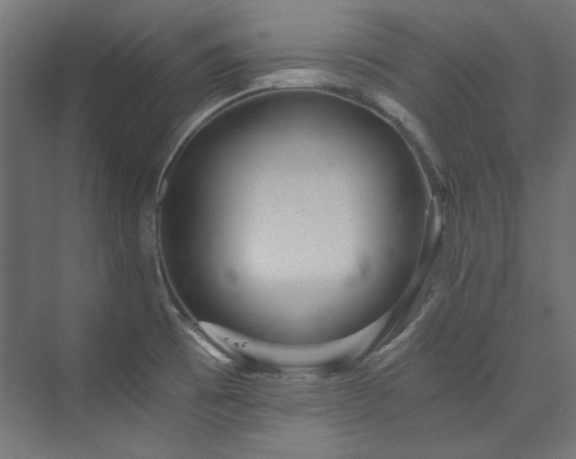 X0000074001473200608211401