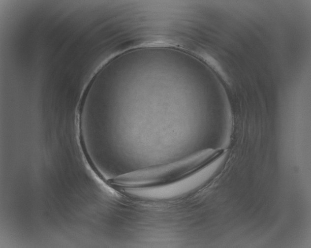 X0000074001476200608211401