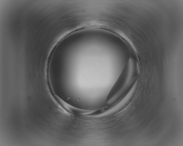X0000074001477200608211401