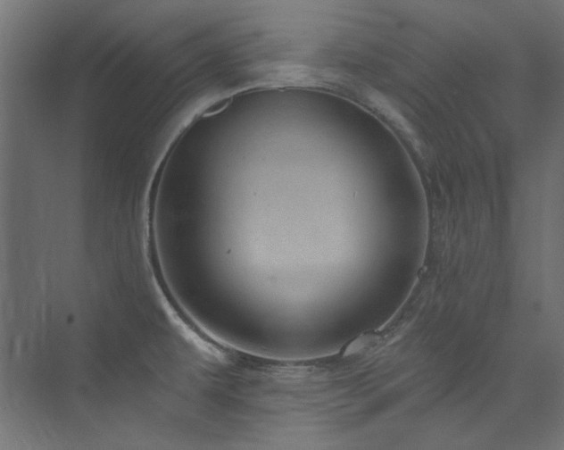 X0000074001479200608211401