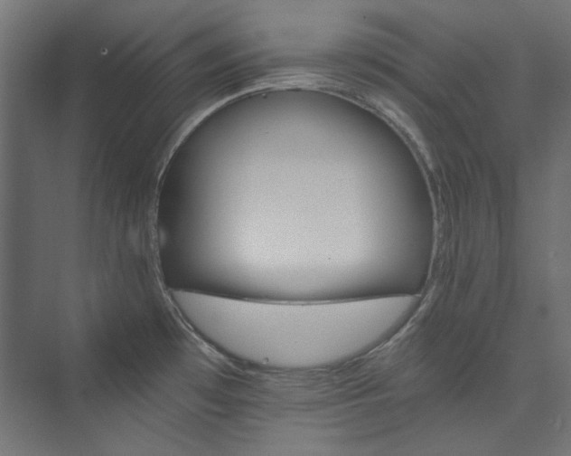 X0000074001481200608211401