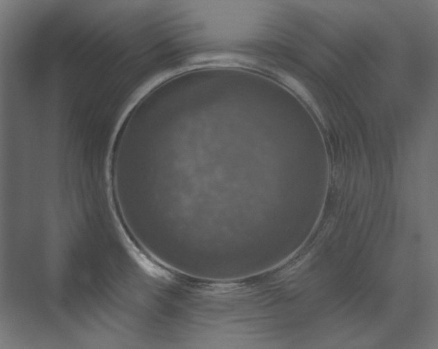X0000074001482200608211401