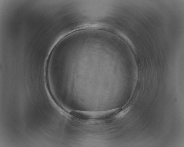 X0000074001483200608211401