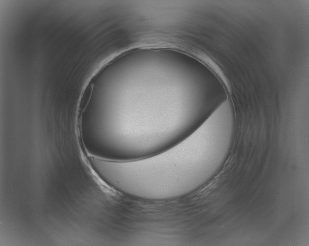 X0000074001485200608211401