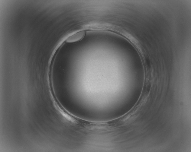X0000074001486200608211401