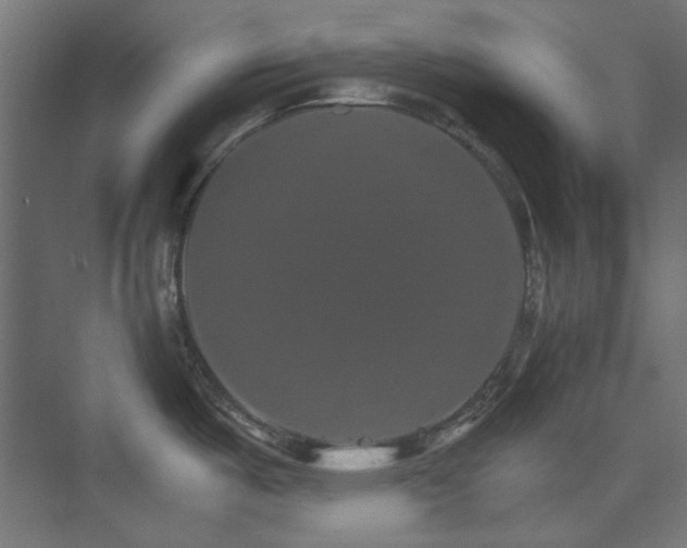 X0000074001487200608211401