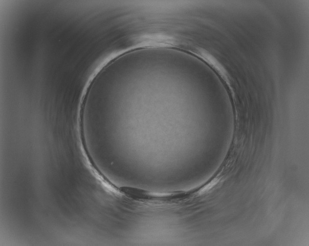 X0000074001488200608211401