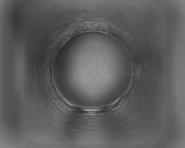 X0000074001489200608211400