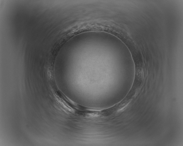 X0000074001490200608211400