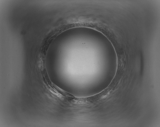 X0000074001493200608211400