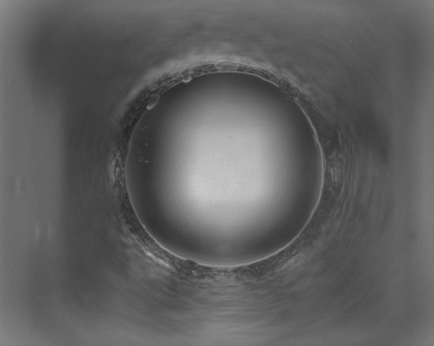 X0000074001495200608211400