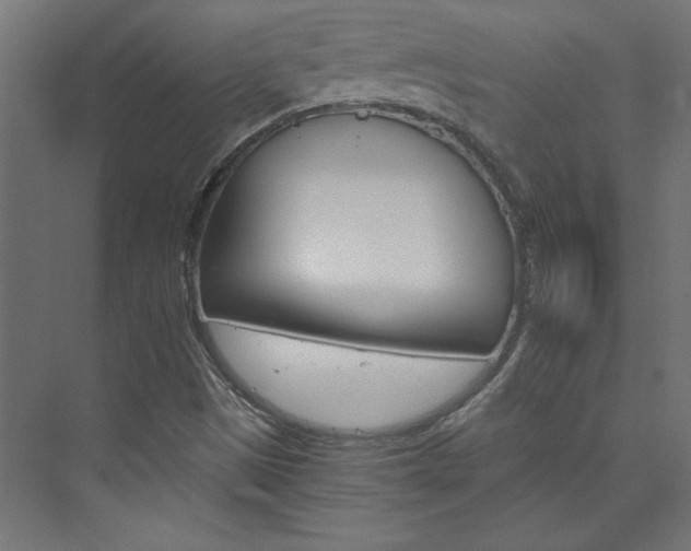 X0000074001497200608211400