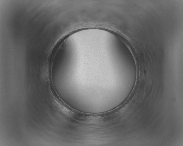 X0000074001498200608211400