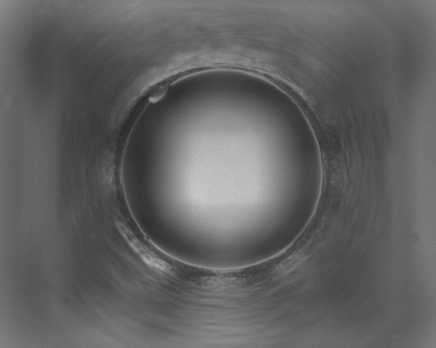 X0000074001499200608211400