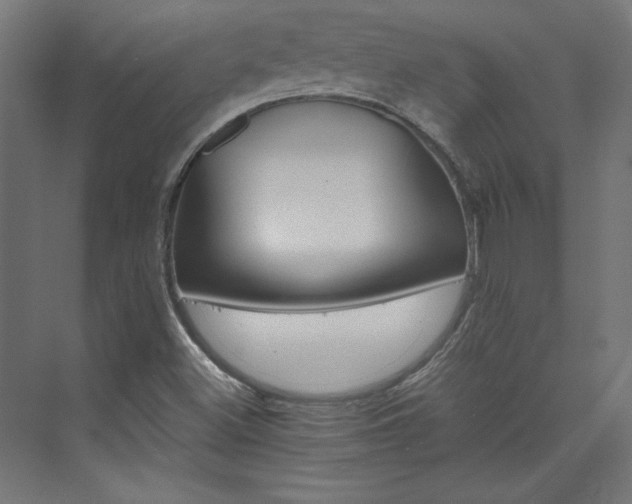 X0000074001500200608211400