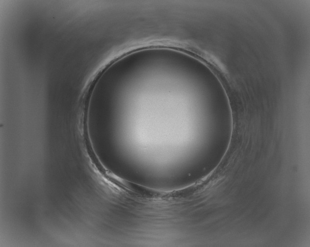 X0000074001504200608211400