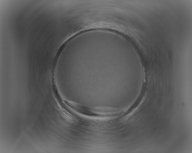 X0000074001505200608211400