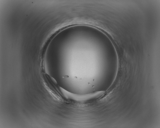 X0000074001507200608211400