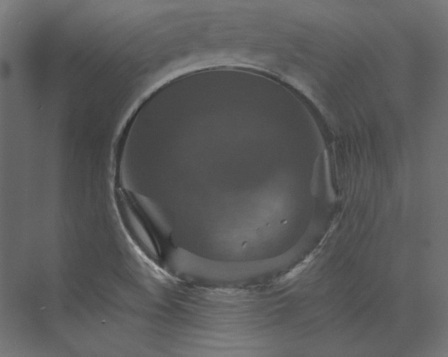 X0000074001508200608211400