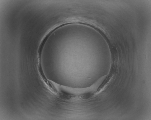 X0000074001509200608211400