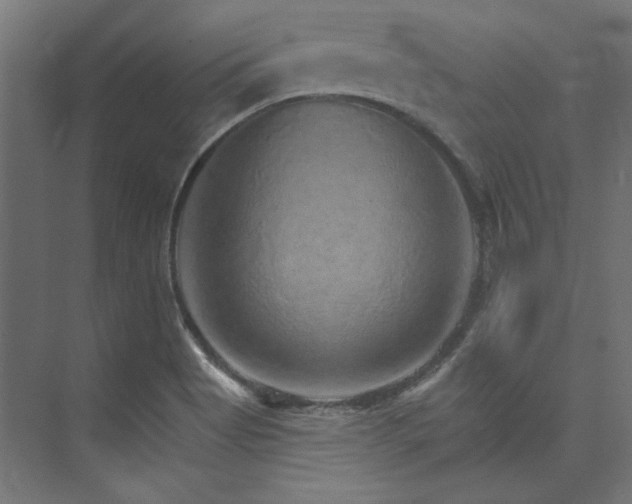 X0000074001513200608211400