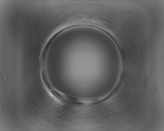 X0000074001515200608211400