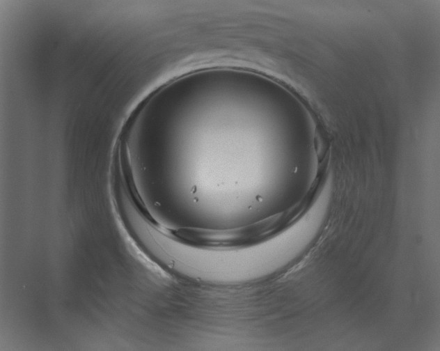 X0000074001518200608211400