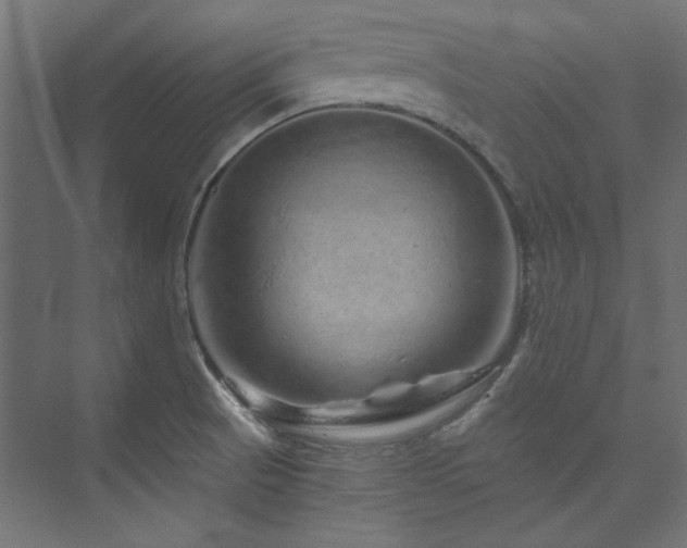 X0000074001521200608211400