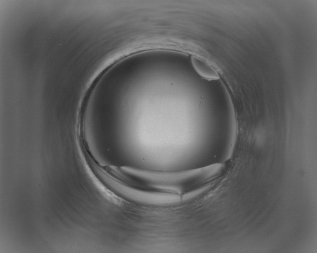 X0000074001523200608211400