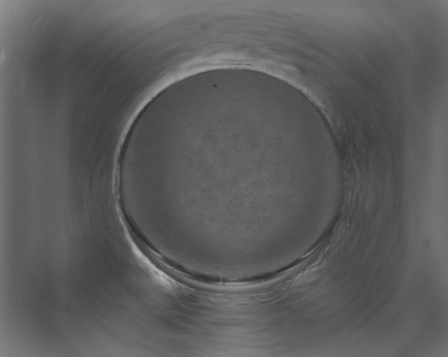 X0000074001527200608211401