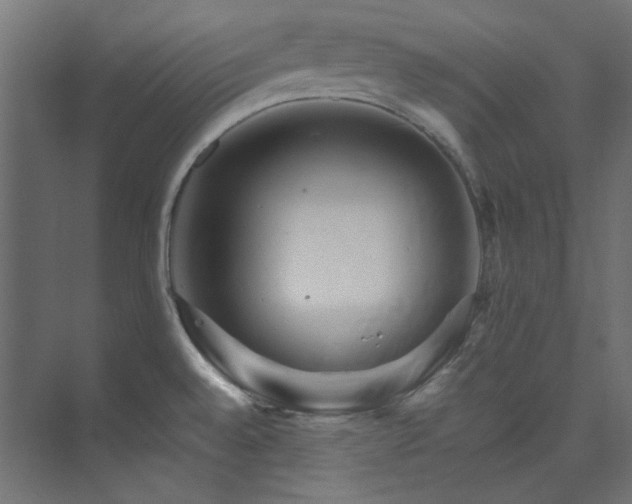 X0000074001528200608211401