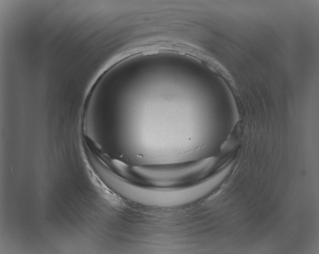 X0000074001530200608211401