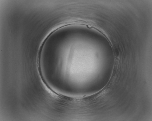 X0000074001531200608211401