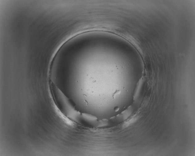 X0000074001532200608211401