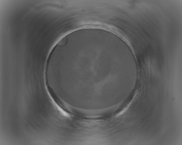 X0000074001533200608211401