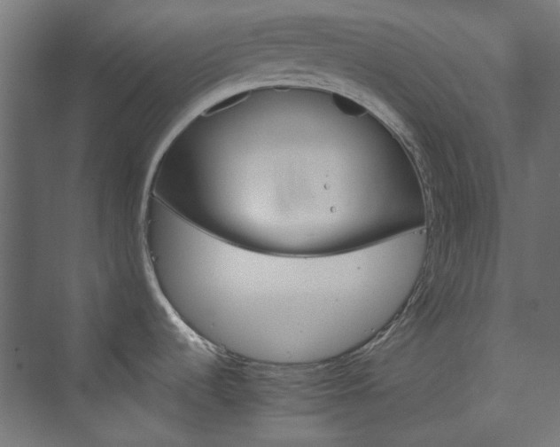 X0000074001536200608211401