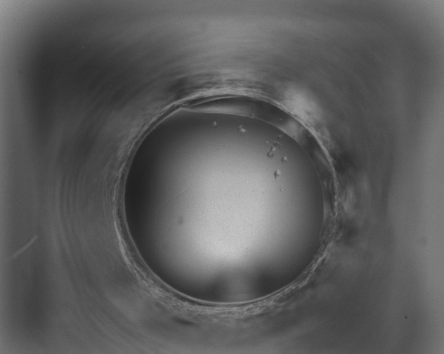 X0000074000001200608281352