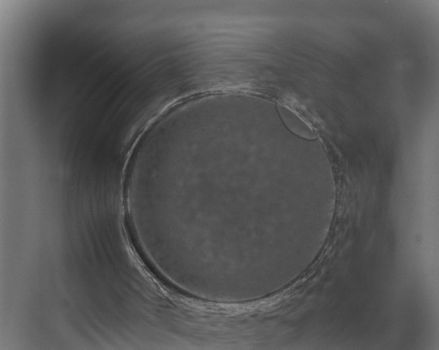 X0000074000002200608281352