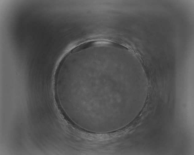 X0000074000006200608281352