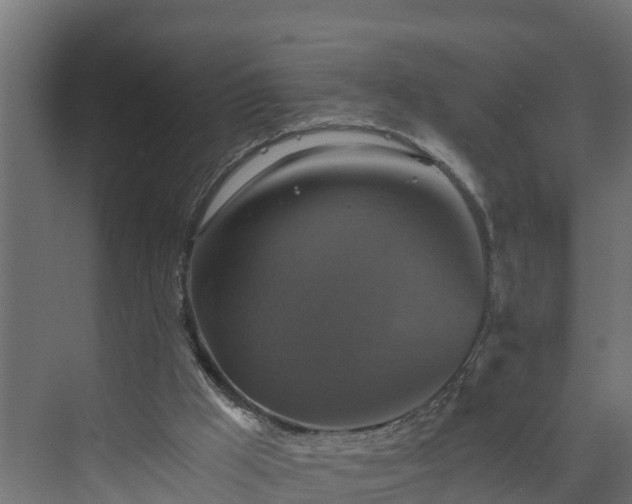 X0000074000009200608281352