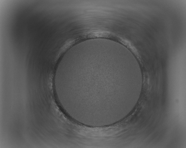 X0000074000010200608281352