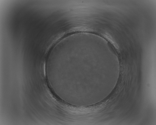 X0000074000014200608281351