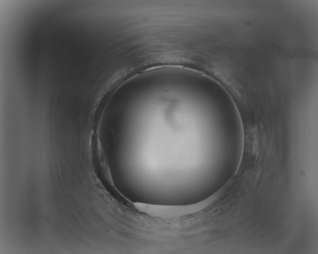 X0000074000015200608281351