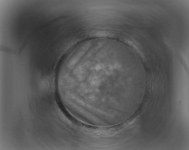 X0000074000016200608281351