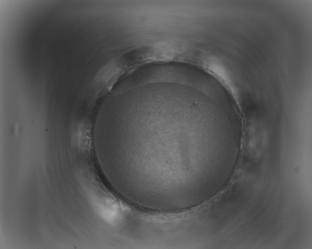 X0000074000017200608281351