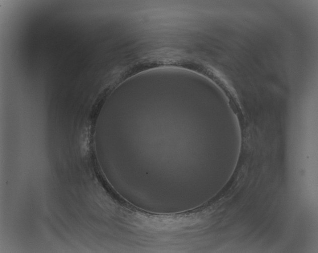 X0000074000018200608281351