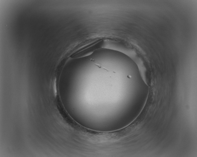 X0000074000020200608281351