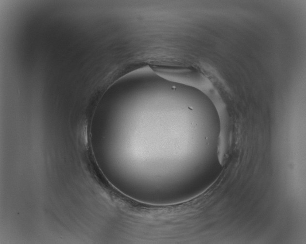 X0000074000021200608281351