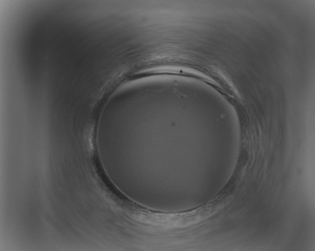 X0000074000023200608281351