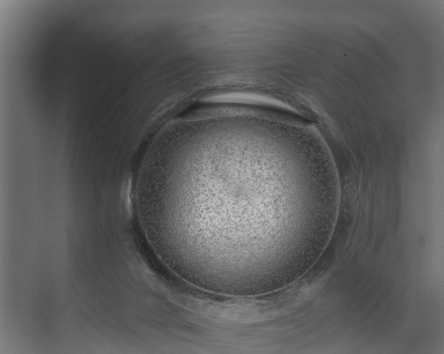 X0000074000024200608281351